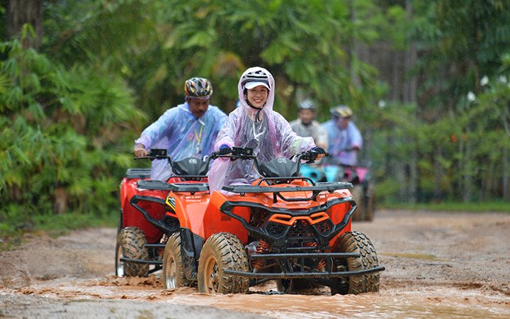 Jungle trail