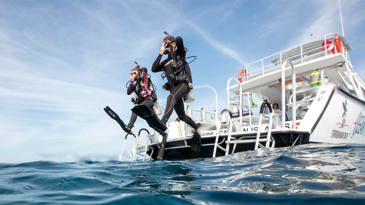 Dive boat